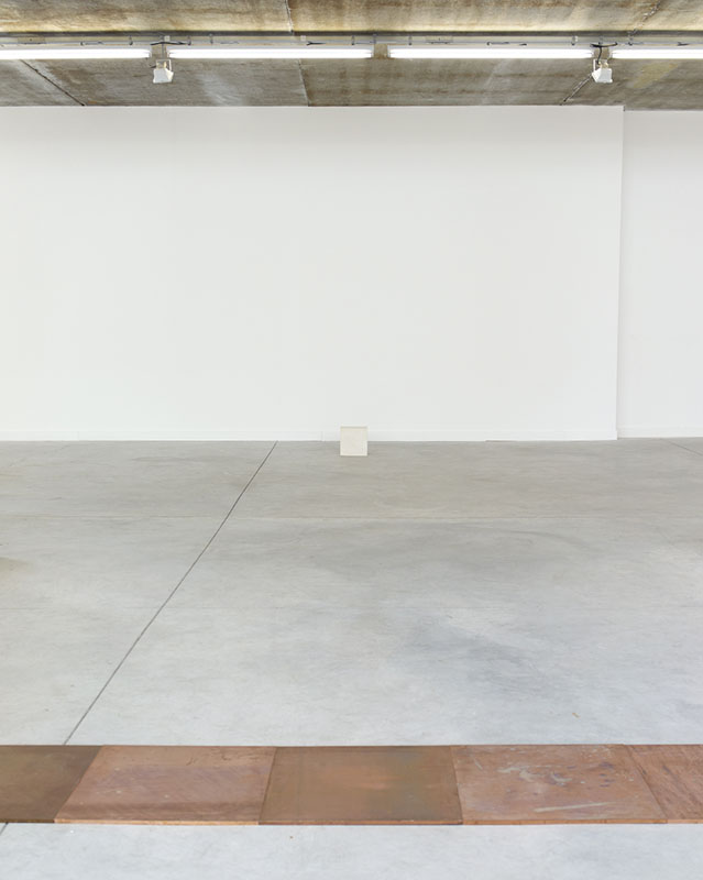 <p>Carl Andre<br class='autobr' />
stanley brouwn</p>