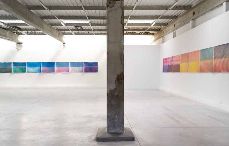 <p><i>Horizon</i></p>