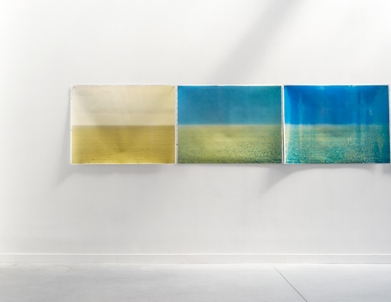 <p><i>Horizon</i></p>